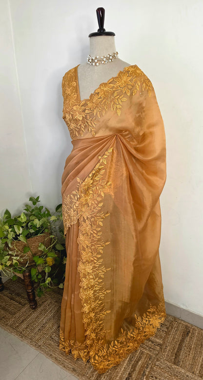 Zari Begum